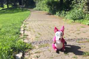 Polly Pink auf dem Weg zur Erfa Location