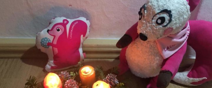 Polly Pink feiert Advent