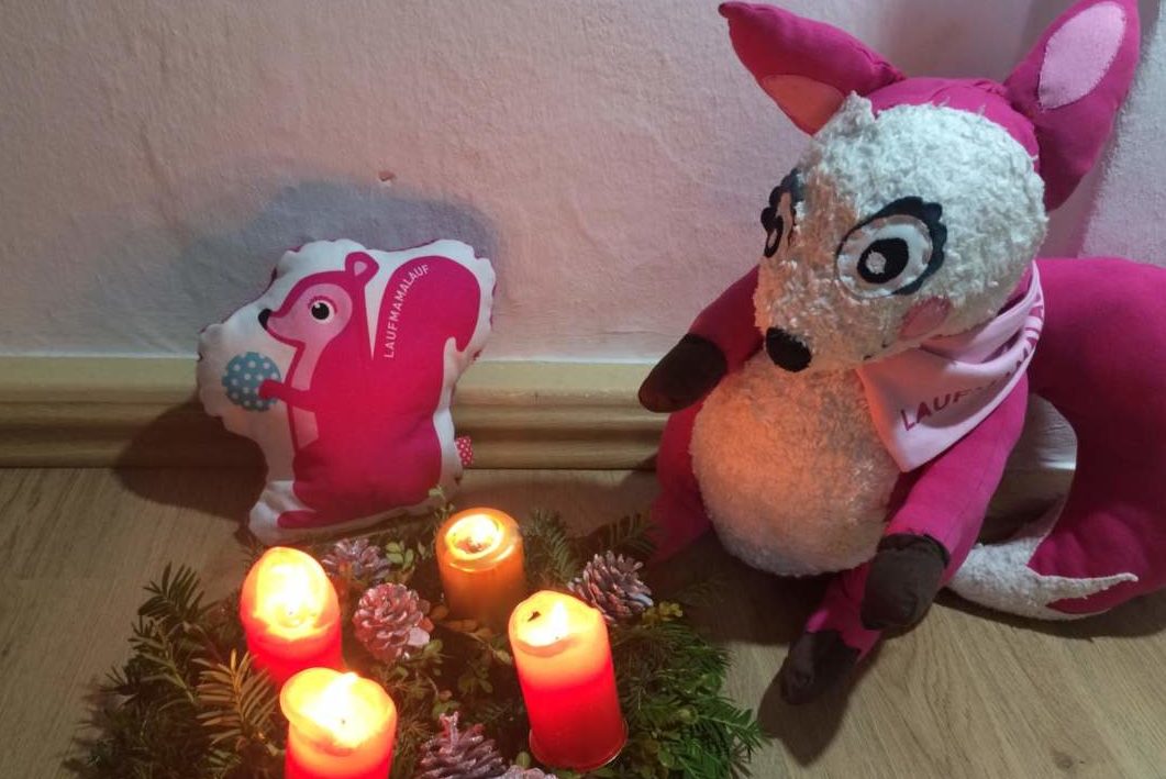 Polly Pink feiert Advent